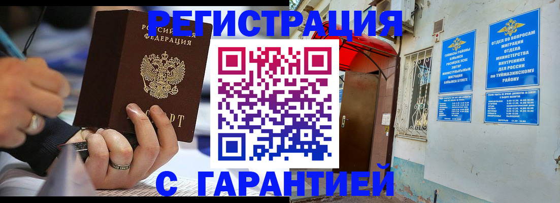 где прописаться в Щёкино